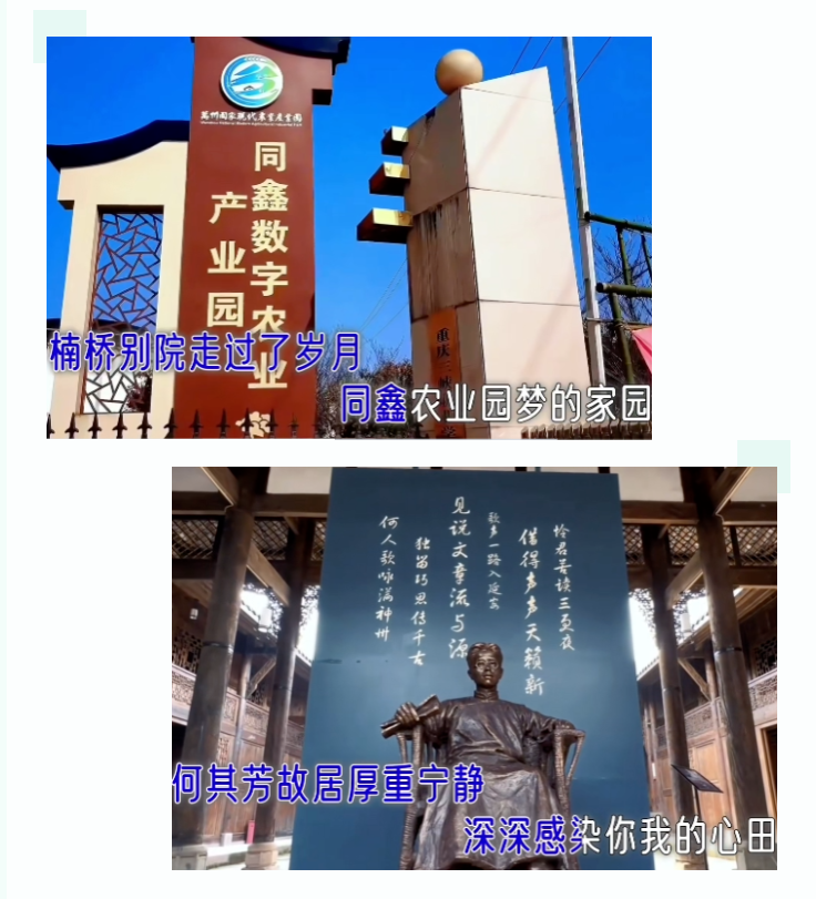 6.png